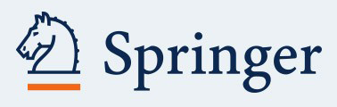 GEoREST - Springer