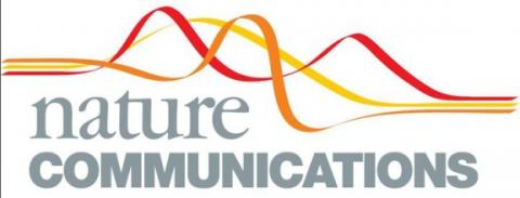 GEoREST - Nature Communications GEoREST - Nature Communications